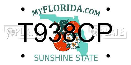 T938CP Florida License Plate