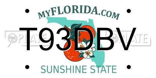 T93DBV Florida License Plate