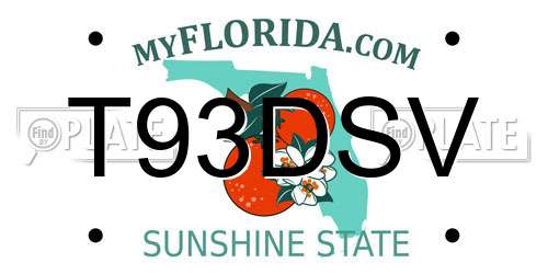 T93DSV Florida License Plate