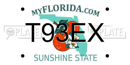 T93EX Florida License Plate