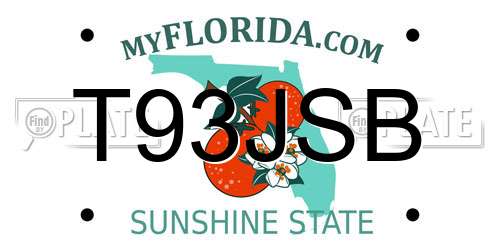 T93JSB Florida License Plate