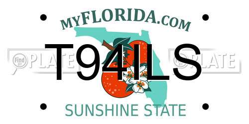 T94ILS Florida License Plate