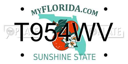 T954WV Florida License Plate