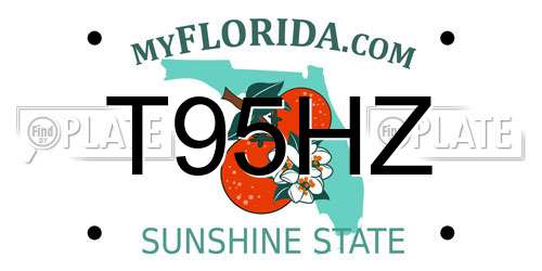 T95HZ Florida License Plate