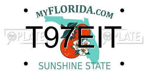 T97EIT Florida License Plate