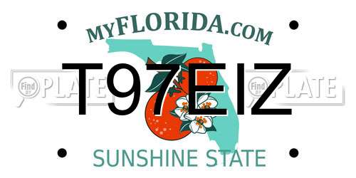 T97EIZ Florida License Plate