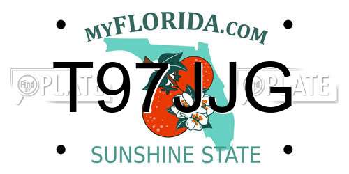 T97JJG Florida License Plate