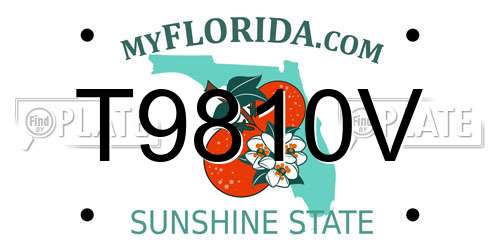 T9810V Florida License Plate