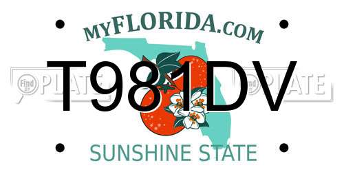 T981DV Florida License Plate