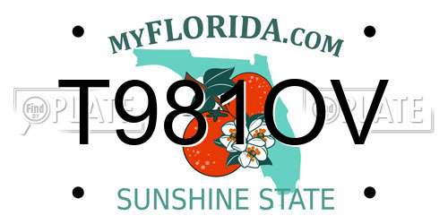 T981OV Florida License Plate
