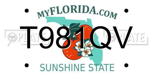 T981QV Florida License Plate