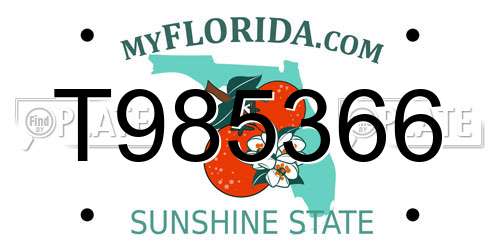 T985366 Florida License Plate