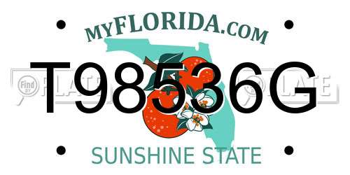 T98536G Florida License Plate