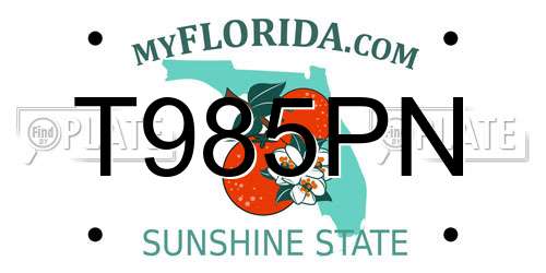 T985PN Florida License Plate