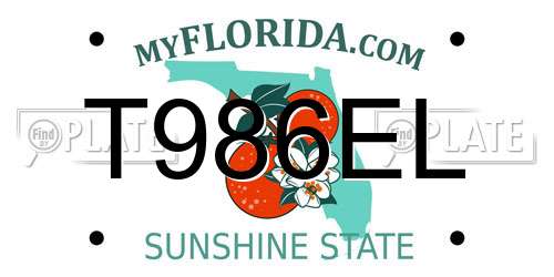 T986EL Florida License Plate