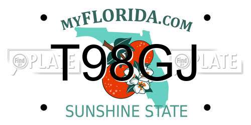 T98GJ Florida License Plate