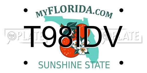 T98IDV Florida License Plate