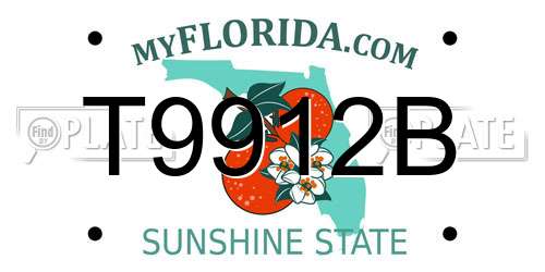 T9912B Florida License Plate