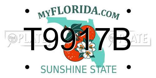 T9917B Florida License Plate