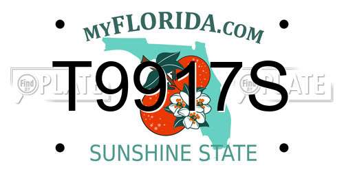 T9917S Florida License Plate