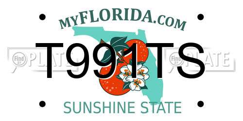 T991TS Florida License Plate
