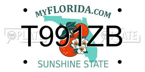 T991ZB Florida License Plate