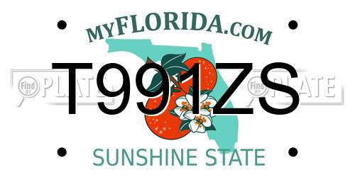 T991ZS Florida License Plate