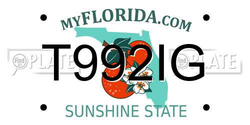 T992IG Florida License Plate