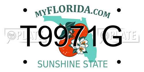 T9971G Florida License Plate