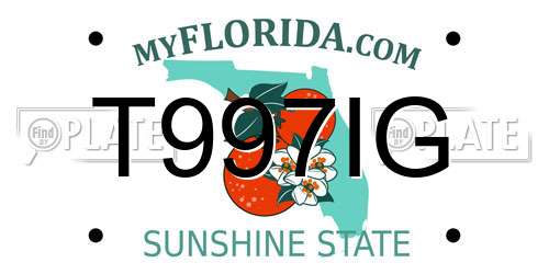 T997IG Florida License Plate