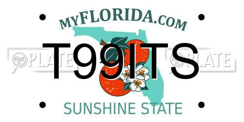 T99ITS Florida License Plate