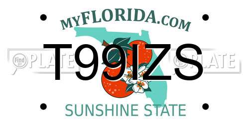 T99IZS Florida License Plate