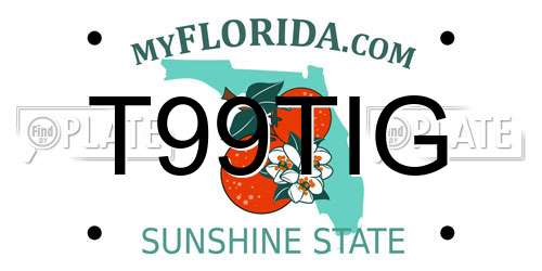 T99TIG Florida License Plate