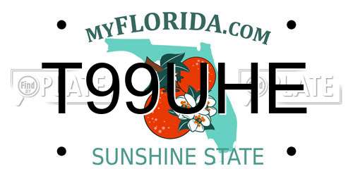T99UHE Florida License Plate