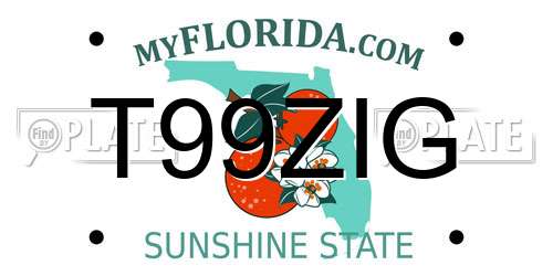 T99ZIG Florida License Plate