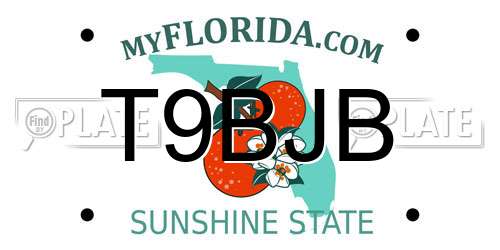 T9BJB Florida License Plate