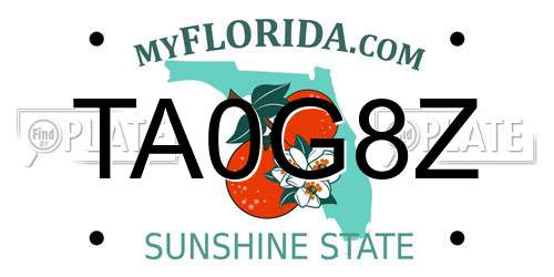TA0G8Z Florida License Plate
