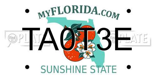 TA0T3E Florida License Plate