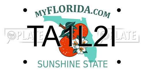 TA1L2I Florida License Plate