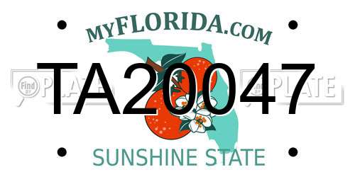 TA20047 Florida License Plate