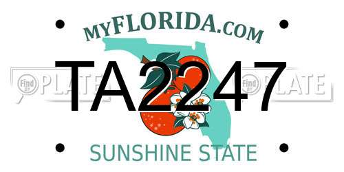TA2247 Florida License Plate