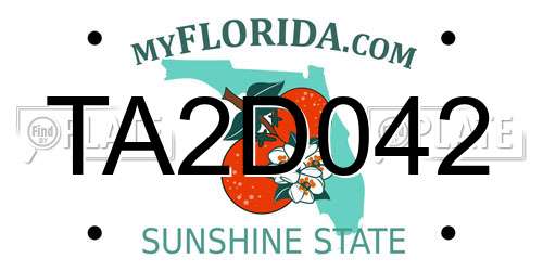TA2D042 Florida License Plate
