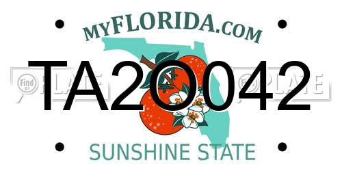 TA2O042 Florida License Plate