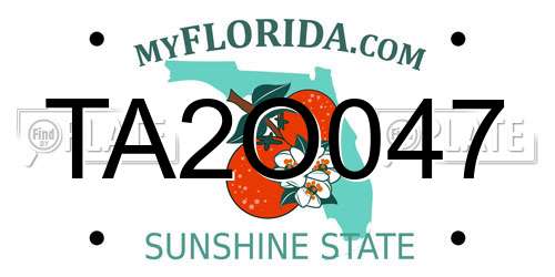 TA2O047 Florida License Plate