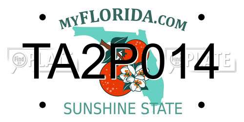 TA2P014 Florida License Plate