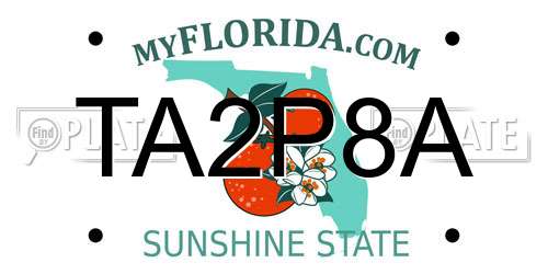 TA2P8A Florida License Plate
