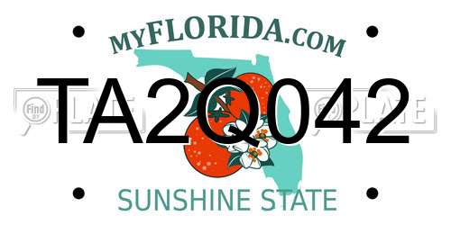 TA2Q042 Florida License Plate