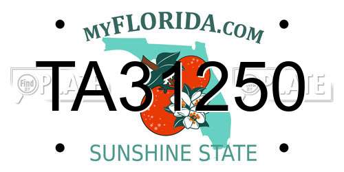 TA31250 Florida License Plate