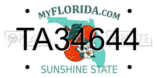 TA34644 Florida License Plate