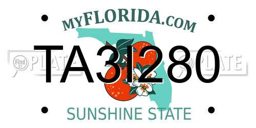 TA3I280 Florida License Plate